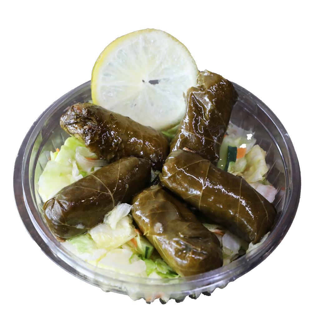 Dolma Mazaa