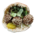 Classic Falafel Pita